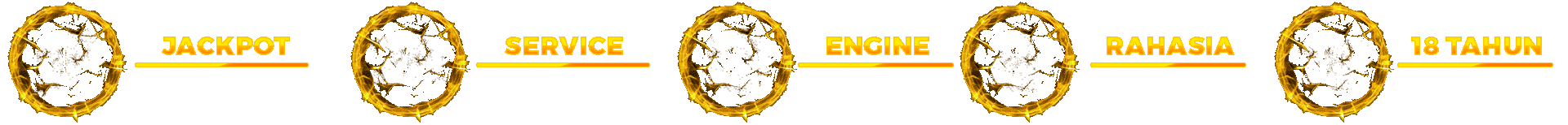 SKIN4D Icon